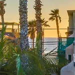 Palms Paradise 1
